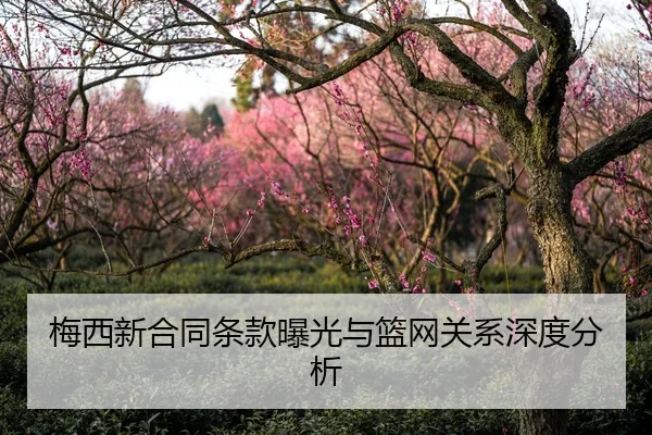 梅西新合同条款曝光与篮网关系深度分析