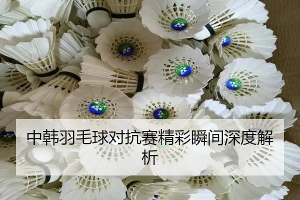中韩羽毛球对抗赛精彩瞬间深度解析